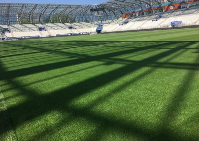 Stade des Alpes Grenoble